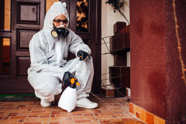 Attic and Crawl Space Rodent Treatment in Jonestown