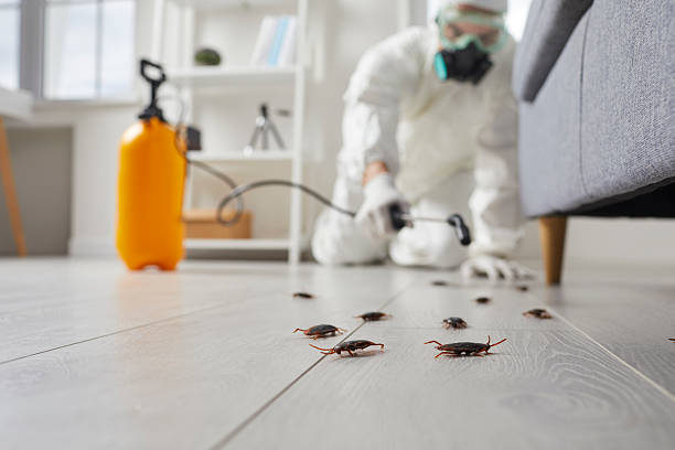 Commercial Rodent Management in Jonestown